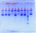 Thumbnail for version as of 13:47, 29 August 2012
