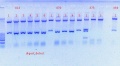 Thumbnail for version as of 14:27, 27 October 2011