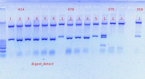 414+470+375+359 digest detect10-27-2011.JPG