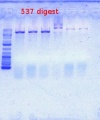Thumbnail for version as of 12:35, 24 May 2012
