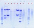Thumbnail for version as of 08:42, 15 June 2011