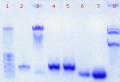 Thumbnail for version as of 16:18, 27 June 2011