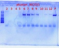 Thumbnail for version as of 08:45, 13 June 2012