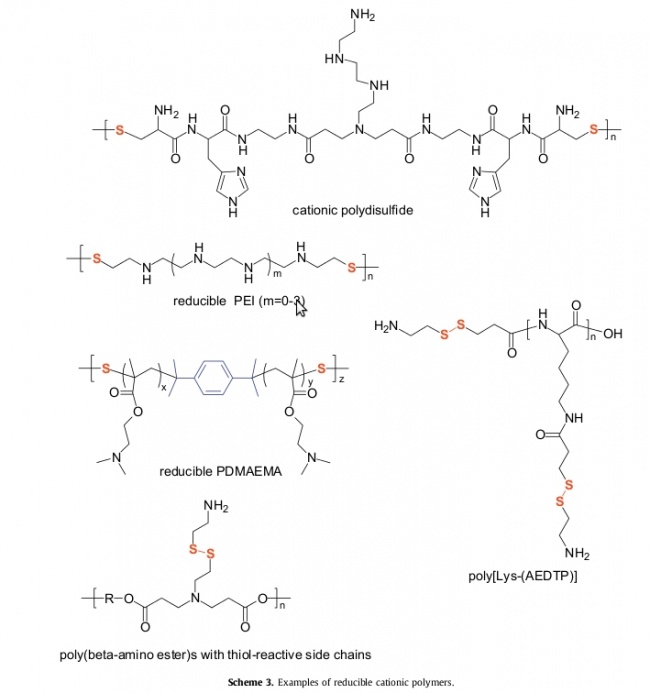 Reducible cationic polymers example.jpg