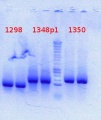 Thumbnail for version as of 14:53, 31 August 2012