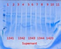 Thumbnail for version as of 15:25, 16 November 2012
