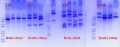 Thumbnail for version as of 13:56, 7 October 2018