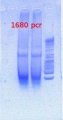 Thumbnail for version as of 12:48, 6 March 2013