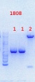 Thumbnail for version as of 14:56, 2 August 2013