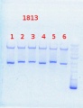 Thumbnail for version as of 15:41, 12 September 2013