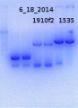 Thumbnail for version as of 16:25, 7 July 2014