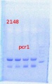 Thumbnail for version as of 15:08, 15 April 2014