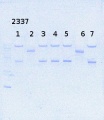 Thumbnail for version as of 16:32, 10 October 2014