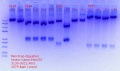 Thumbnail for version as of 15:03, 31 January 2018