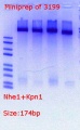 Thumbnail for version as of 18:57, 1 June 2018