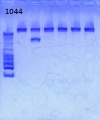 Thumbnail for version as of 17:31, 28 January 2013