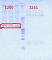 Thumbnail for version as of 14:02, 18 July 2012