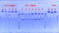 Thumbnail for version as of 17:16, 19 November 2012