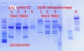 Thumbnail for version as of 17:28, 29 October 2018