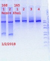 Thumbnail for version as of 14:23, 2 January 2019