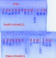 Thumbnail for version as of 18:38, 13 June 2013