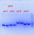 Thumbnail for version as of 16:45, 18 October 2013