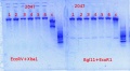Thumbnail for version as of 15:03, 7 February 2014