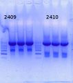 Thumbnail for version as of 14:07, 26 January 2015