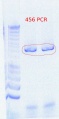 Thumbnail for version as of 15:22, 3 November 2011