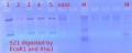 Thumbnail for version as of 11:23, 24 January 2012