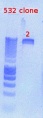 Thumbnail for version as of 16:25, 2 February 2012