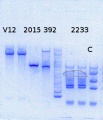 Thumbnail for version as of 13:17, 22 August 2014