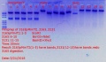 Thumbnail for version as of 13:17, 21 March 2018