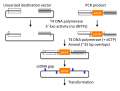 Thumbnail for version as of 22:46, 16 March 2012