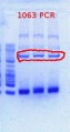 Thumbnail for version as of 10:14, 15 May 2012