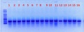 Thumbnail for version as of 10:38, 7 June 2012