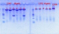 Thumbnail for version as of 09:28, 2 October 2012