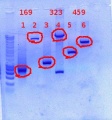 Thumbnail for version as of 16:01, 29 December 2011