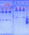 Thumbnail for version as of 15:53, 9 May 2013