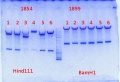Thumbnail for version as of 14:56, 31 October 2013