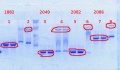 Thumbnail for version as of 11:41, 28 March 2014
