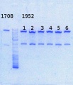 Thumbnail for version as of 16:27, 19 December 2013