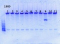 Thumbnail for version as of 10:46, 19 May 2014