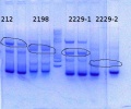 Thumbnail for version as of 13:08, 22 August 2014