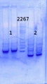 Thumbnail for version as of 14:24, 12 September 2014