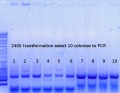 Thumbnail for version as of 15:33, 13 March 2015