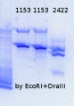 Thumbnail for version as of 16:20, 27 March 2015