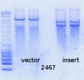 Thumbnail for version as of 15:13, 16 May 2015