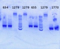 Thumbnail for version as of 11:17, 3 July 2013