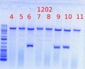 Thumbnail for version as of 15:31, 29 May 2012